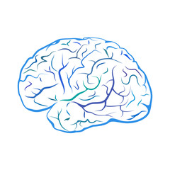Blue outline brain mark.