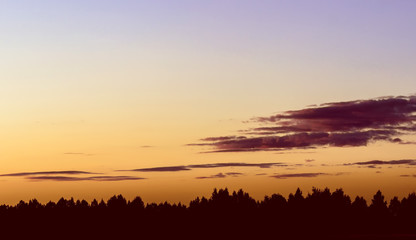 Fototapeta premium Colorful Sky and Forest Silhouette at Sunset