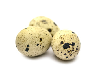 Obraz premium quail egg