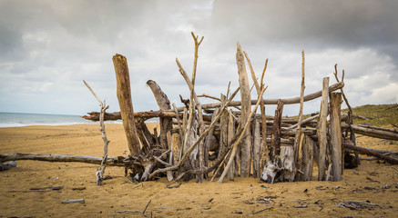 Fototapeta na wymiar bois blanchi sur la plage