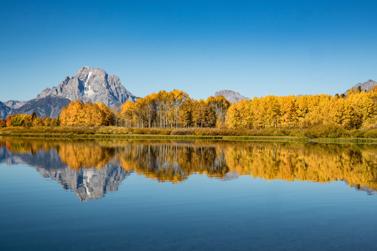 Autumn along Oxbow Bend Grand Teton National Park, Wyoming