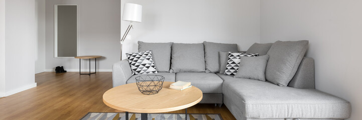 Living room with grey sofa