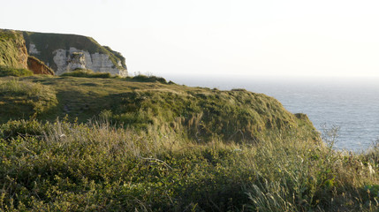 Vue sur les falaises d'Etretat 