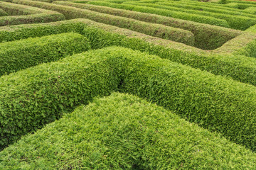 Labyrinth als Metapher für Irrwege im Alltag