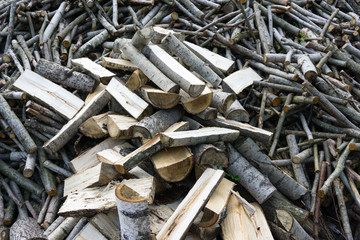 heap of chopped different shapes and breed firewood