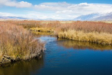 Owens' River Water