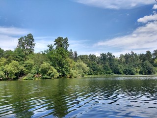 Fototapeta na wymiar Forest lake in summer 