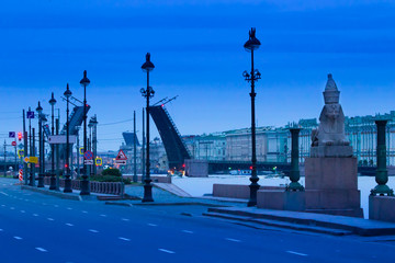 St. Petersburg divorced bridges. Morning panorama of St. Petersburg.