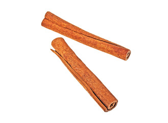 Cinnamon stick spice isolated on a white background