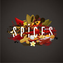 Banner with spices, seasonings and herbs for food market. Isolated on dark background