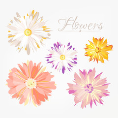 Vector flowers set, different bright colors, flat vintage style, isolated on white
