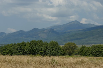 Fototapeta premium Majestic mountain top overgrown with forest, ripe wheat field and grass glade, Central Balkan mountain, StaraPlanina, Bulgaria 