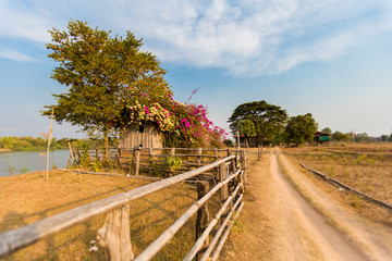 Fototapeta premium Dirt path on Don Det