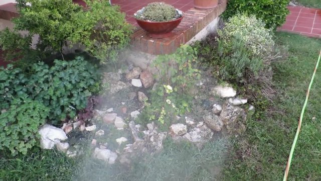 giardinaggio innaffiare piante e fiori
