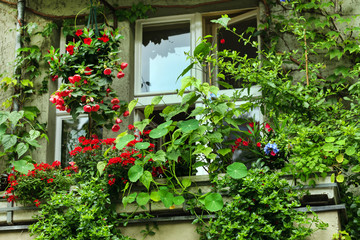 balcony with flowers