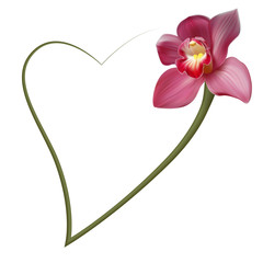 Реалистичная орхидея, красивая романтичная рамка.