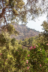 the gorge of Samaria