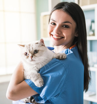 At the veterinarian