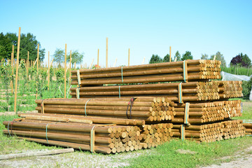 Holzverarbeitung, gestapelte Holzpfähle