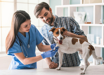 At the veterinarian