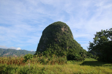 vinales