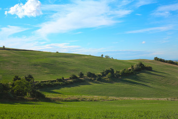 Fototapeta na wymiar Panorama of green Tuscan hills on a sunny day landscapte in Italy
