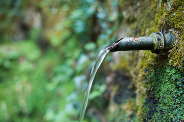 fountain in the wood