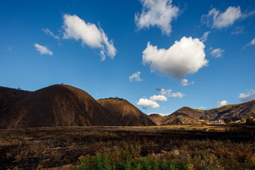 Forest Fire in Sicilia, Patti, Italy