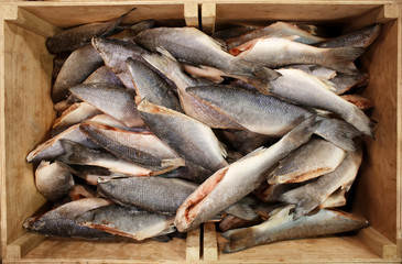 Frozen fish in supermarket