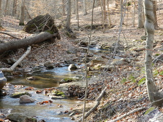 Small Creek