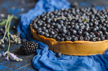 Summer french tart with blueberries on a blue background. Close-up.