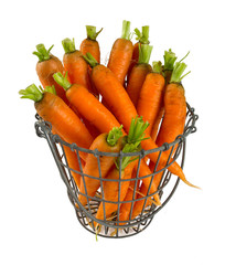 fresh carrots on white background