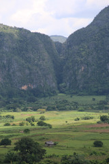 vinales