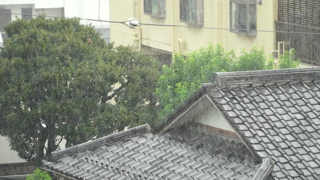 大雨　土砂降り　東京　夏