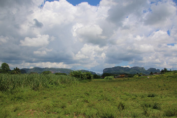 vinales