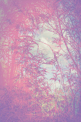 Artistic, natural background with plants