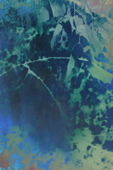 Artistic, natural background with plants