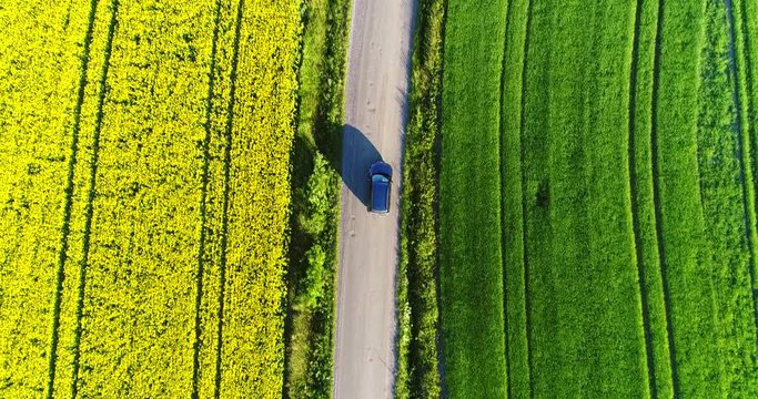 Car driving on the countryside, Cinema 4k aerial tilt down view above a car driving on a road between yellow rapeseed fields and other green fields, at a evening, in Kirkkonummi, Uusimaa, Finland