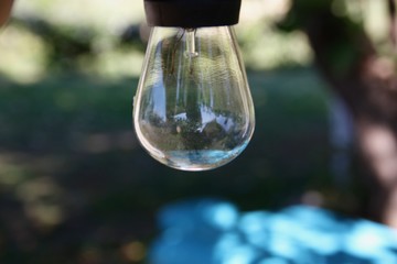 light bulb