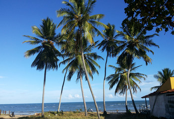 Fototapeta na wymiar Maragogi beach view