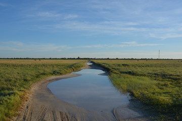 water road in salt flat in Nata Bird Sanctuary, Makgadikgadi pan, Botswana, Africa