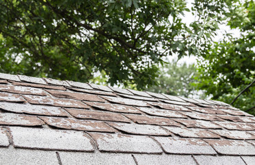 horizontal image of house shingles that are in very worn out and need replacing.