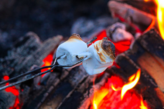 Roasting marshmallows for smores over a colorful campfire
