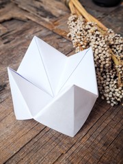 Paper fortune teller with dried flowers
