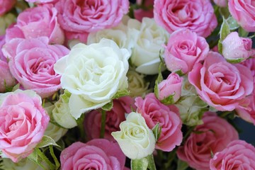 Beautiful bouquet of white and pink roses