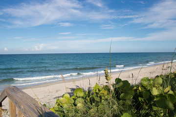 i want to go to the beach