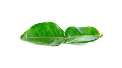 Kaffir lime leaves on white background