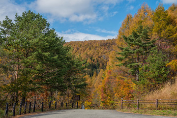 Bandai Azuma skyline road trip in autumn season.