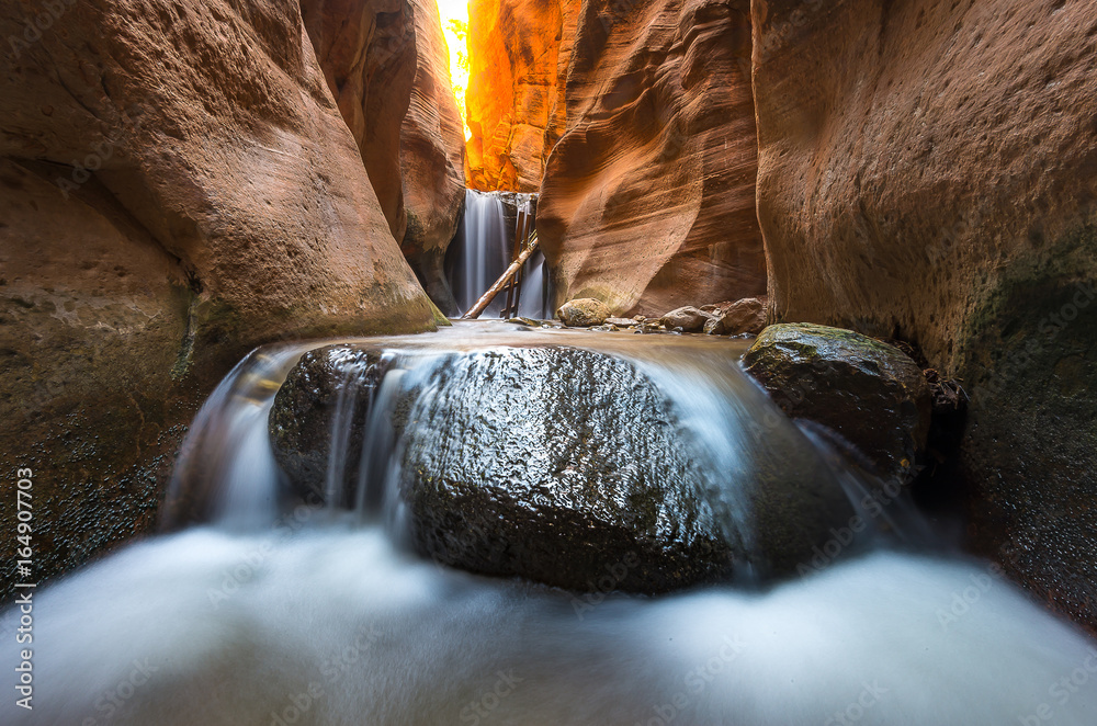 Wall mural kanarra creek canyon