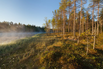 Obraz premium Small forest lake at sunrise